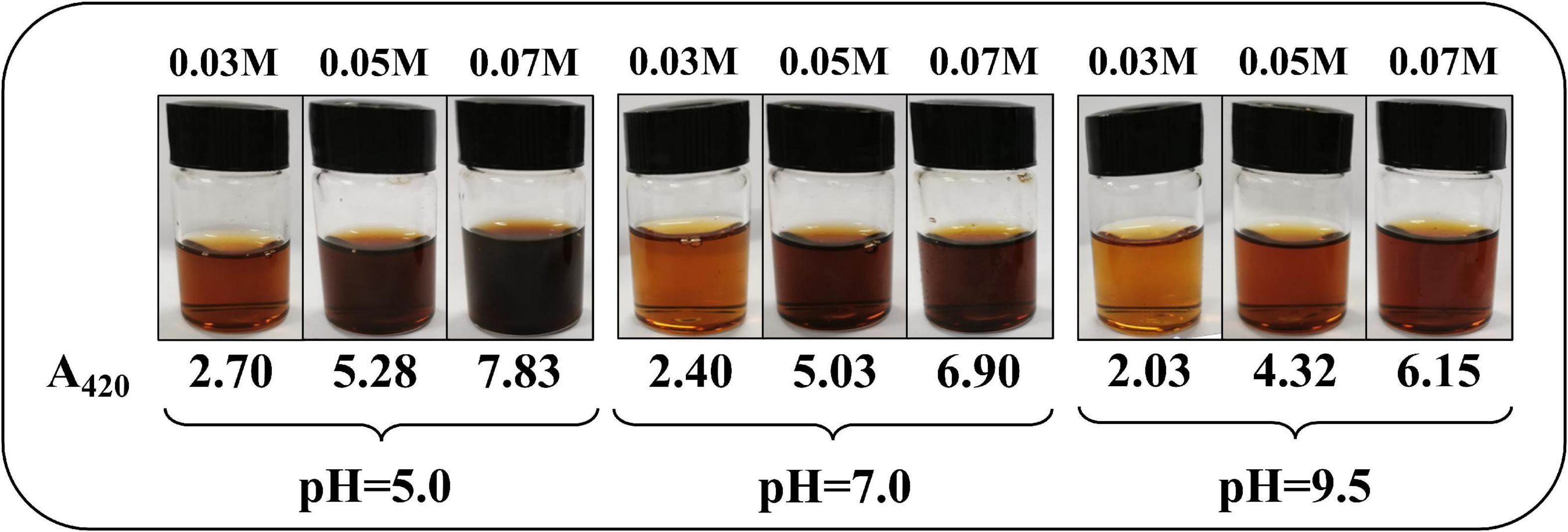 Kinetics of L-ascorbic acid degradation and non-enzymatic browning development in hot-compressed water